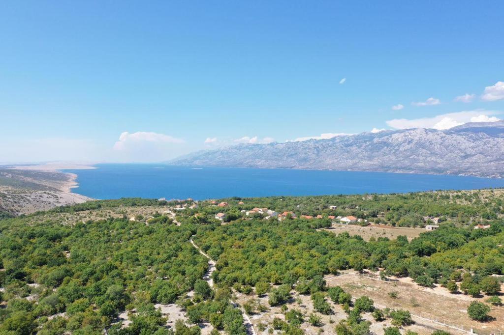 Apartments Slivnica Holiday Екстериор снимка